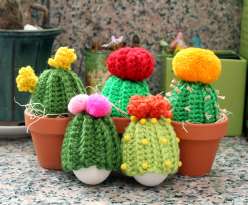 Crocheted Cacti Cozies: 4/13/17