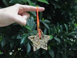 Cookie Cutter Bird Feeders: 10/5/17