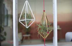 Air Plant Hangers: 8/29/18