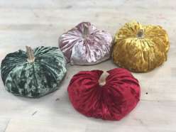 Velvet Pumpkins: 10/25/18