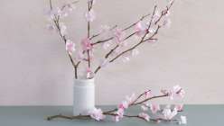 Make a Paper Cherry Blossom Branch