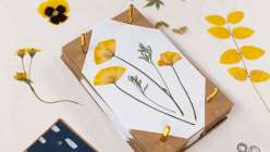 Make an Upcycled Flower Press