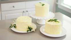 The Wilton Method: Three Ways to Ice a Cake