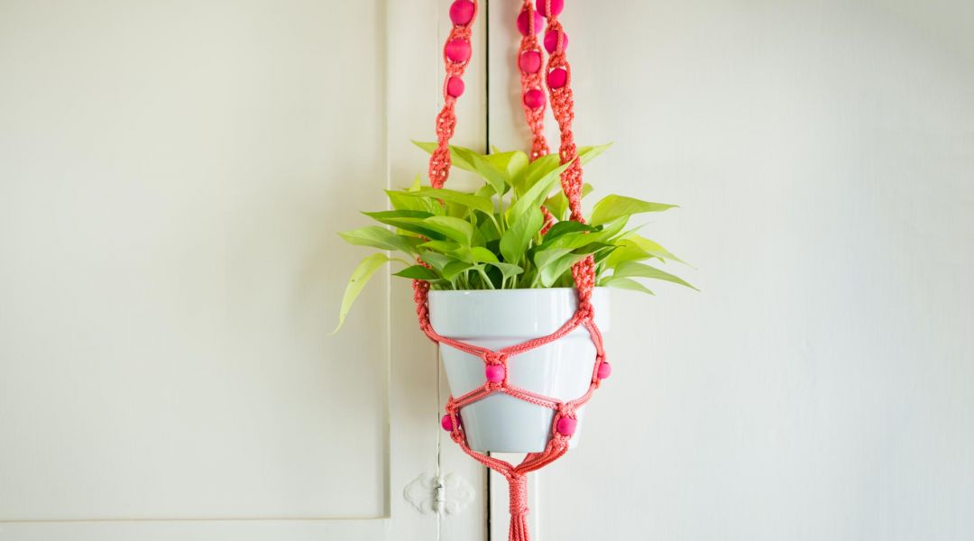 Macramé Plant Hanger