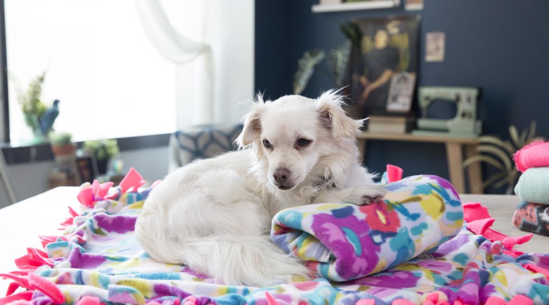 No-Sew Fleece Tie Blanket