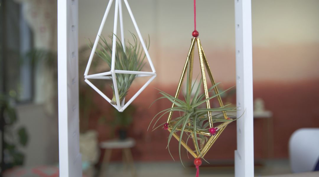 Air Plant Hangers: 8/29/18