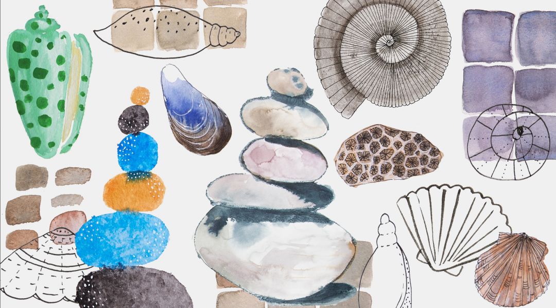 Mixtape: Paint and Draw Rocks and Shells