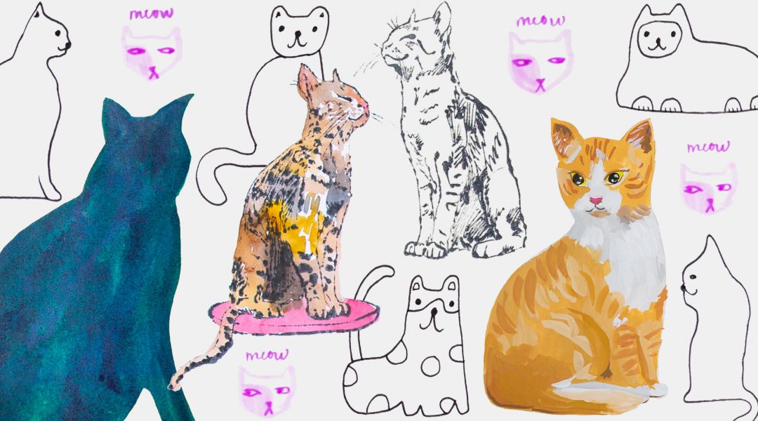 Mixtape: Cats 5 Ways