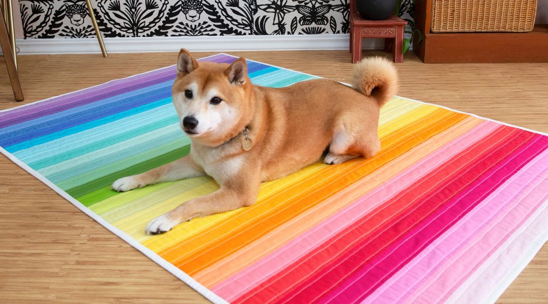 Rainbow Jelly Roll Quilt Top