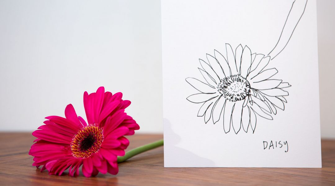 How to Draw a Gerbera Daisy