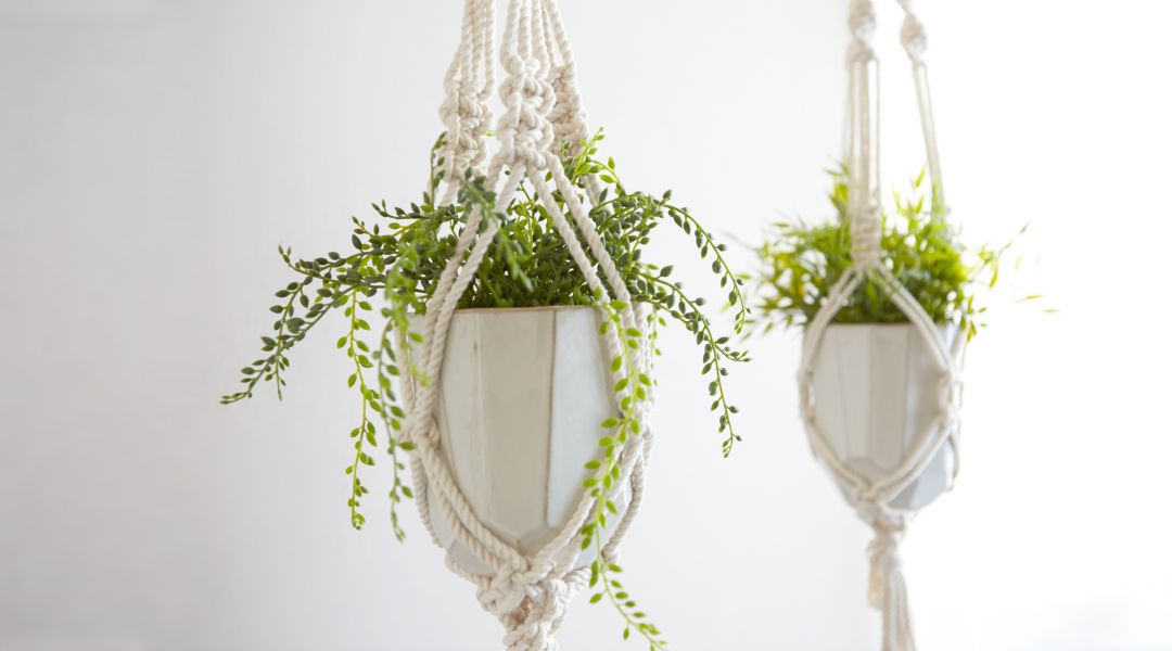 Make a Classic Macramé Plant Hanger