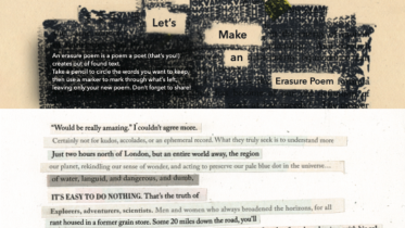 Erasure Poem