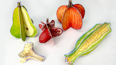 Autumn Harvest Paper Fruits