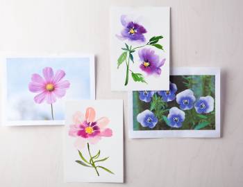 Daily Painting Challenge: 31 Flowers to Paint with Yao Cheng