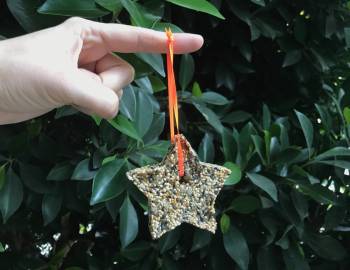 Cookie Cutter Bird Feeders: 10/5/17