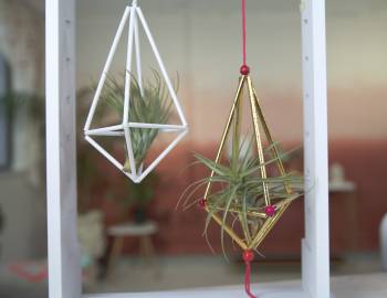 Air Plant Hangers: 8/29/18