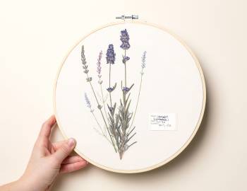 Thread Painting: Embroider with Pressed Flowers