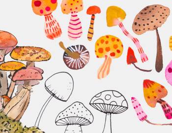 Mixtape: 5 Ways to Make a Toadstool