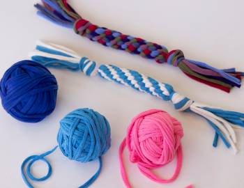 Make an Eco-Friendly Dog Toy