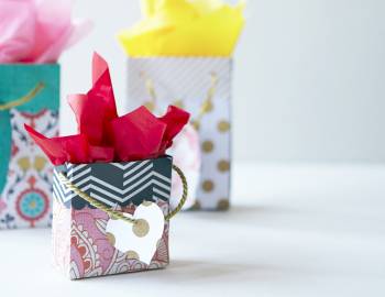 Cricut Crafts: DIY Gift Bags