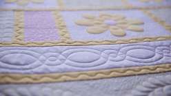 From machine settings to threads, tools and tips – Sue Nickels walks through the basics of free motion techniques, from stippling through cabling and feathers so you will be set up to create any number of designs on your quilt. 