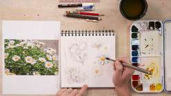 Reference images of flowers being painted in Lorene Edwards Forkner's Botanical Sketching Techniques class on Creativebug