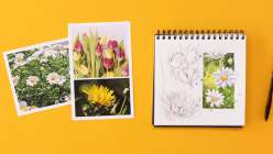Reference images of flowers in Lorene Edwards Forkner's Botanical Sketching Techniques class on Creativebug