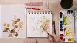 Reference images of flowers being painted in Lorene Edwards Forkner's Botanical Sketching Techniques class on Creativebug