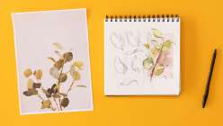 Reference images of flowers in Lorene Edwards Forkner's Botanical Sketching Techniques class on Creativebug