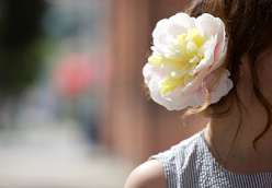 Paper flower artist Livia Cetti shares her technique for making everyone’s favorite flower: the peony. You will learn how to bleach the paper, cut out the petals, and put them all together to make a lush, realistic bloom.