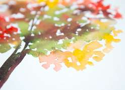 This class provides a basic understanding of how to paint successfully with watercolors
