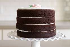 Emily Tatak of Wilton teaches you how to bake a cake while avoiding the three C’s (crowning, cracking, and crumbing). The cake decorating portion of this class will teach you to use buttercream and ice the cake like a pro.